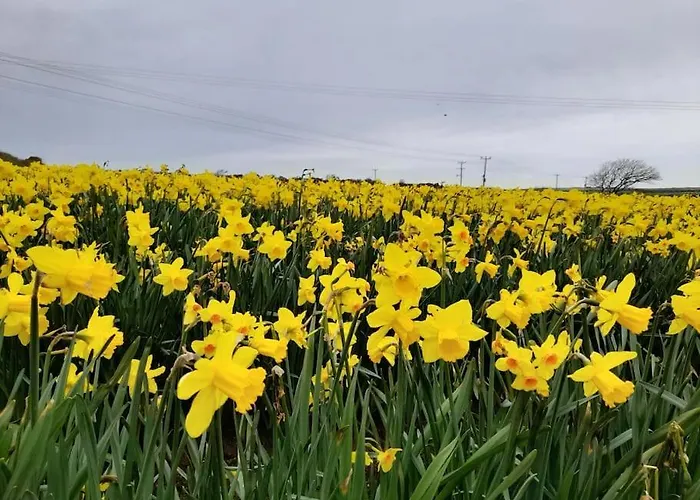 Cosy Country Getaway, 5 Mins From The Sea