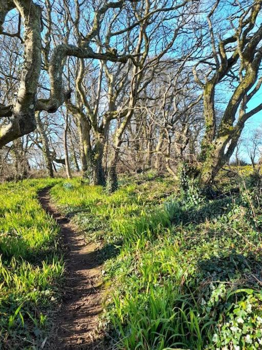 Cosy Country Getaway, 5 Mins From The Sea * Penzance