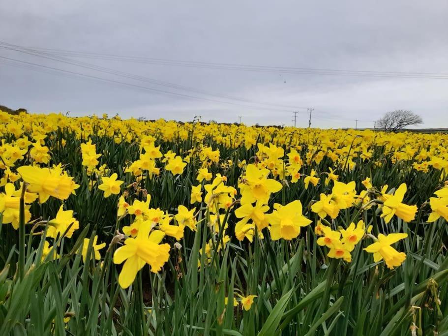 Cosy Country Getaway, 5 Mins From The Sea Holiday home *