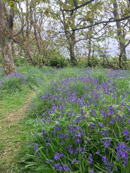 Cosy Country Getaway, 5 Mins From The Sea *